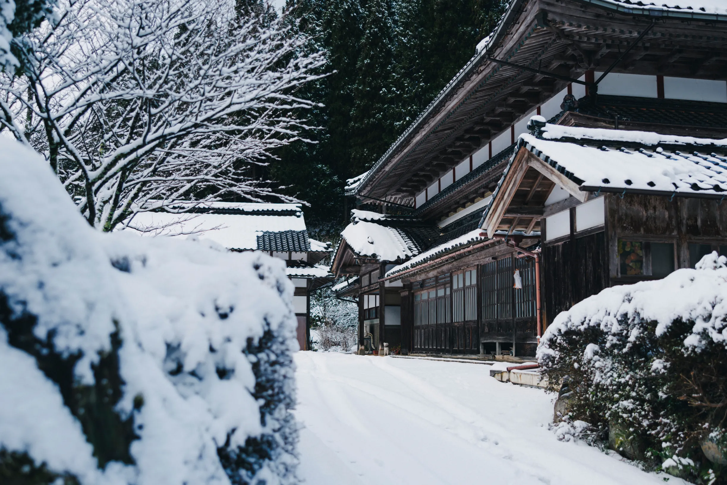 年末年始の営業についてのお知らせ